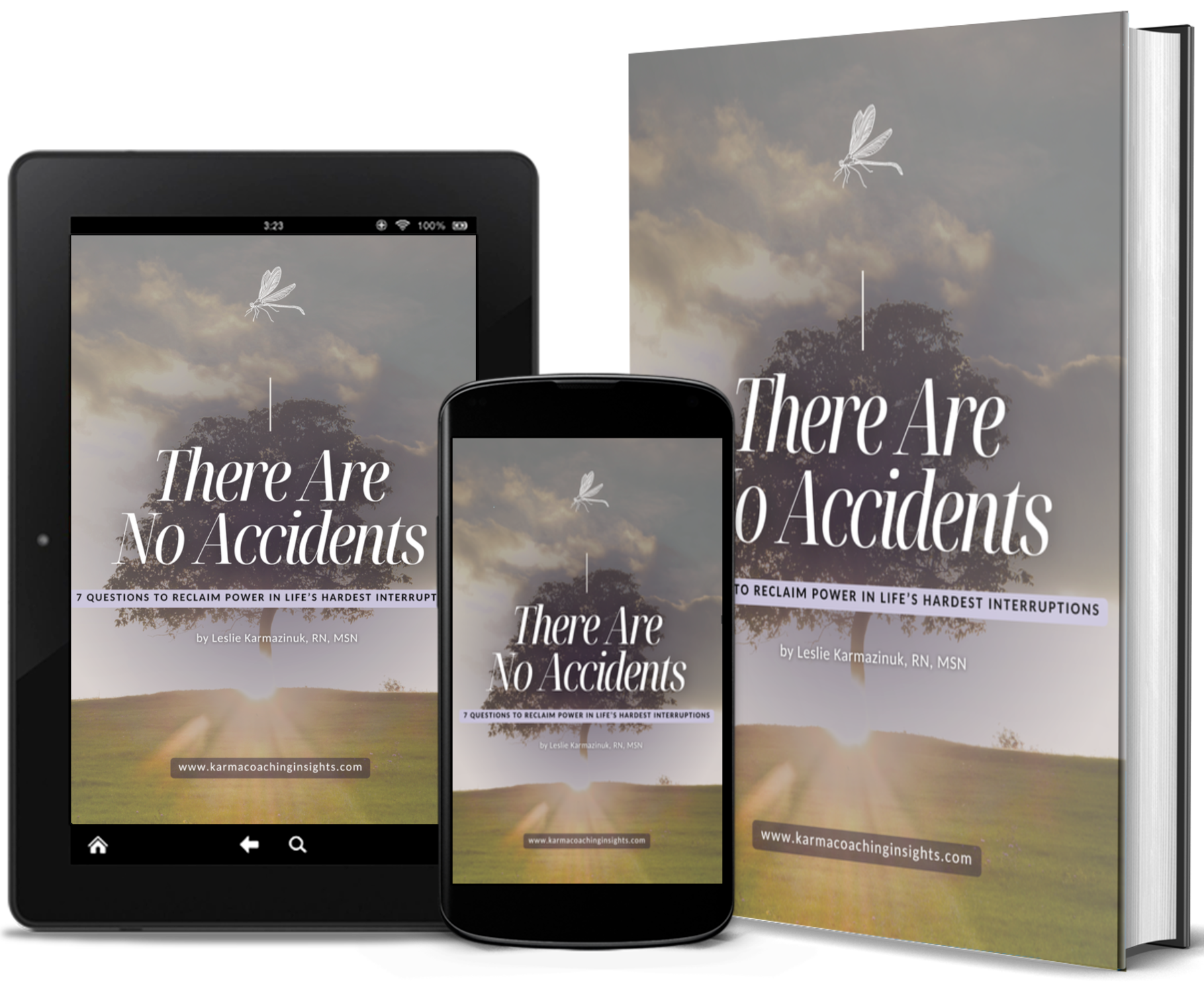 There Are No Accidents by Leslie Karmazinuk There Are No Accidents by Leslie Karmazinuk